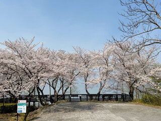 IMG_5867h.jpg